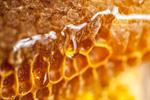 صادرات عسل قطع شد/ تولیدکنندگان عسل حال و روز مساعدی ندارند