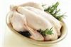 حداقل تولید مرغ در اردیبهشت ۳۰۰ هزار تن است