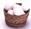 صادرات تخم‌مرغ به ۵۰ هزارتن رسید