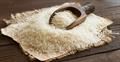 نامه معاون رئیس جمهور به مخبر در مورد حذف ارز ترجیحی برنج
