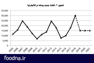 آمار بعد از سال 2018 کشت جدید باغات پسته