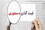 فعالان صنعت خواستار پایان قیمت‌گذاری دستوری