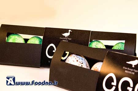 Egg Packaging 3