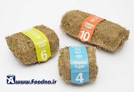 Egg Packaging 6