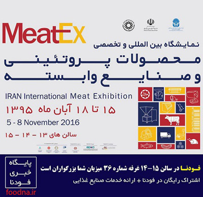 MEATEX