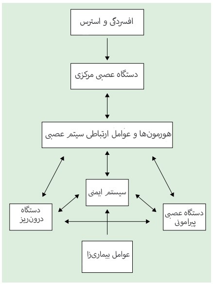 سیستم ایمنی